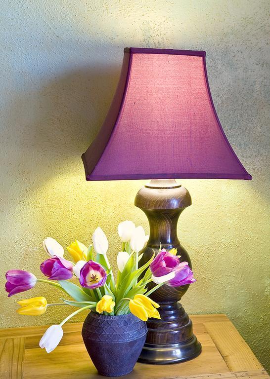 Casa Gallina - An Artisan Inn Taos Pokój zdjęcie