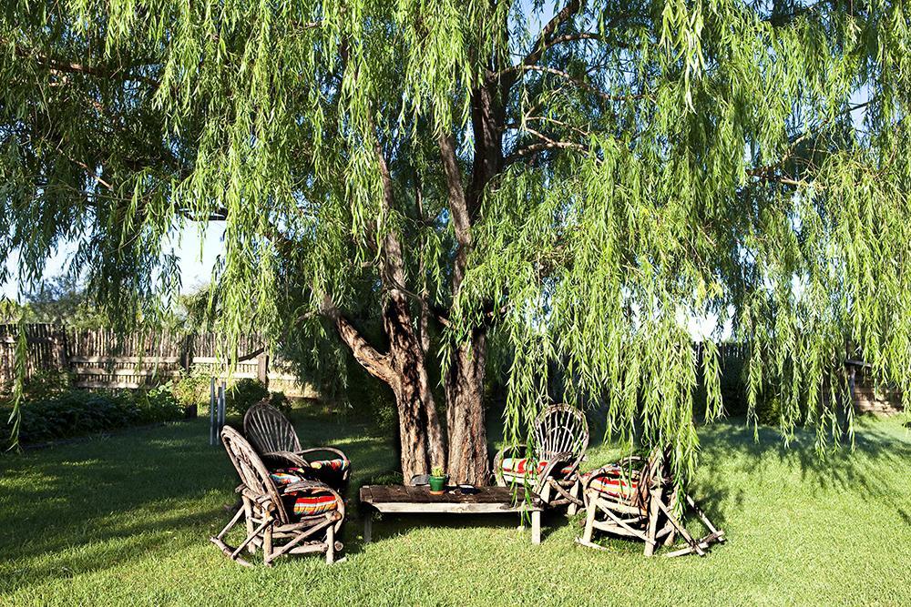 Casa Gallina - An Artisan Inn Taos Zewnętrze zdjęcie